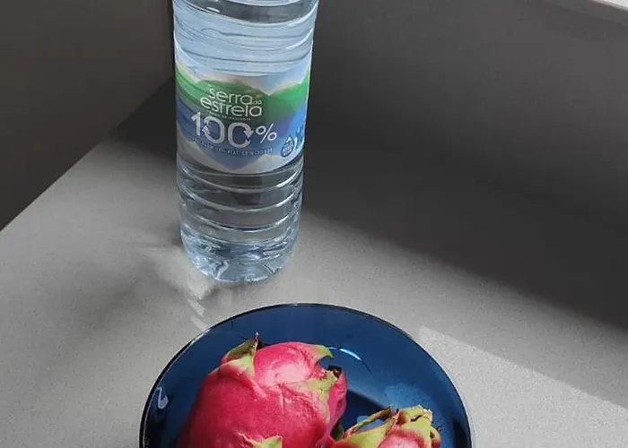 Lejlighed Furadouro Pine