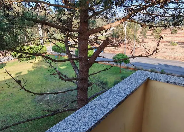 Lejlighed Furadouro Pine